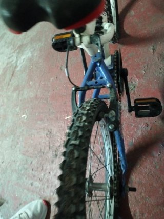 Bicicleta infantil Topbike
