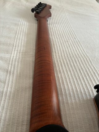 Harley Benton MAX Fusion Signature HO Guitarra