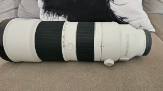 Sony 200-600mm f5.6-6.3 GOOS