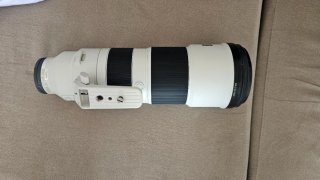 Sony 200-600mm f5.6-6.3 GOOS