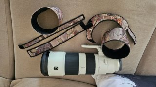 Sony 200-600mm f5.6-6.3 GOOS