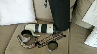 Sony 200-600mm f5.6-6.3 GOOS