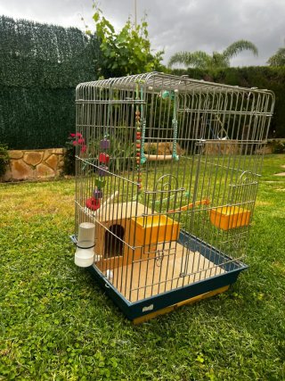 Jaula grande para pájaros