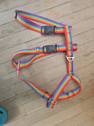 Arnés perro 3 puntos fijación, multicolor