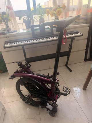 Brompton 4V Morado