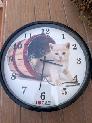 Reloj I Love Cat