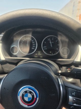 BMW Serie 3 2014