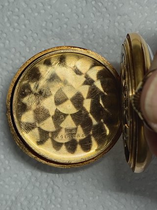 Omega Tasca Oro