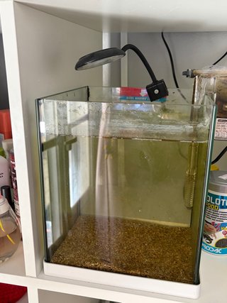Acuario ICA 10L