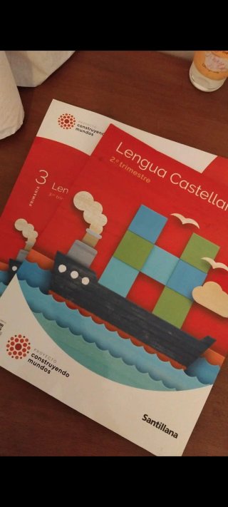 Libros de lengua 3 de primaria