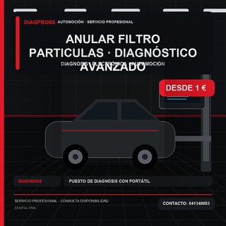 anular filtro particulas · Diagnóstico avanzado
