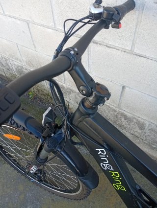 Bicicleta Montaña eléctrica