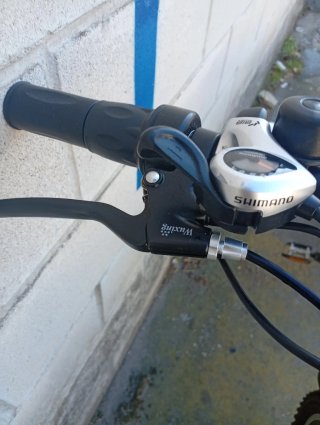 Bicicleta Montaña eléctrica