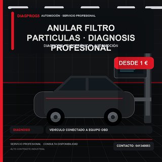 anular filtro particulas · Diagnosis profesional