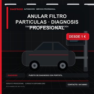 anular filtro particulas · Diagnosis profesional