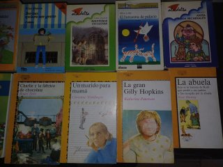 Lote 41 libros lectura infantil juvenil
