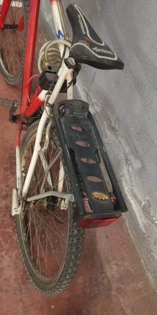 Bicicleta BH Specialized con silla infantil