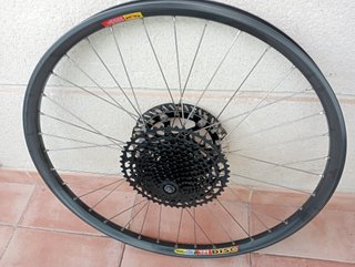 148,26 x30 reforzada Mavic rueda trasera 36 H