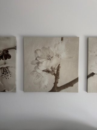 Set 3 Cuadros Flores Ikea