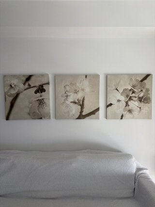 Set 3 Cuadros Flores Ikea