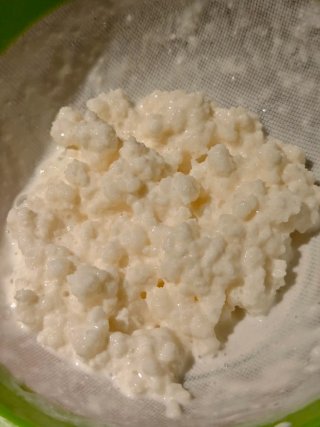 Cambio nódulos de kéfir por 1 litro de leche