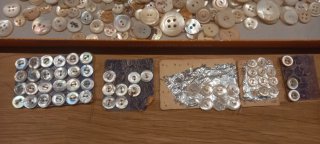 Lote Botones Vintage Blancos