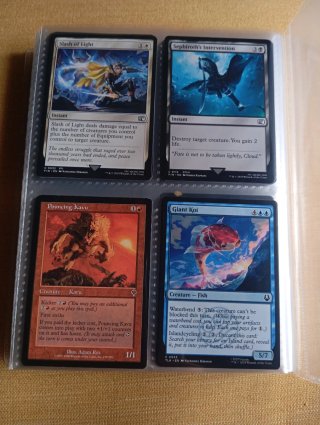 Álbum de cartas Magic: The Gathering