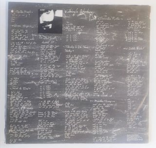 Jane's Addiction Nothing's Shocking LP Vinile