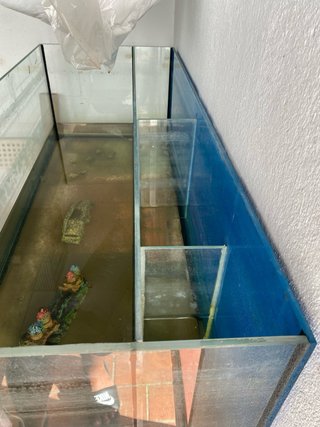 Acuario/pecera con divisiones