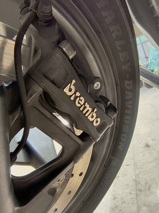 Harley-Davidson Sportster S Negra/Granate