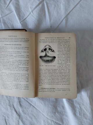 2 libros RAMON Y CAJAL y Anatomía descriptiva