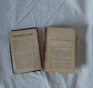 2 libros RAMON Y CAJAL y Anatomía descriptiva