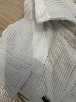 Cazadora Hollister Beige