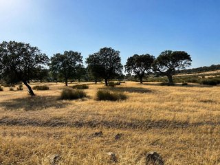Terreno en venta en Zarza de Granadilla