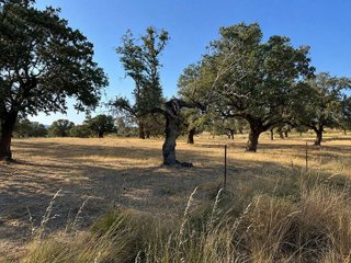 Terreno en venta en Zarza de Granadilla