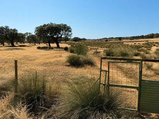 Terreno en venta en Zarza de Granadilla