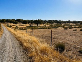 Terreno en venta en Zarza de Granadilla