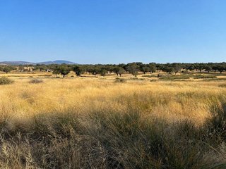Terreno en venta en Zarza de Granadilla