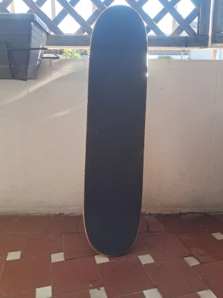 Skate Nomad