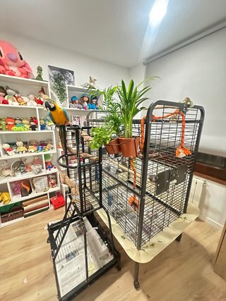 Jaula grande para loros montada!