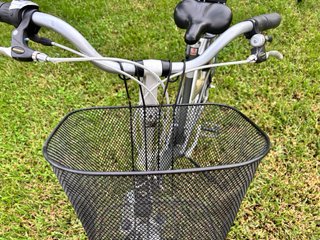 Bicicleta holandesa Batavus