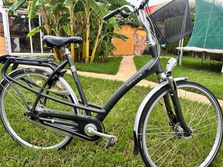 Bicicleta holandesa Batavus