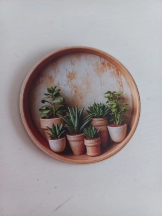 Imán nevera plantas suculentas