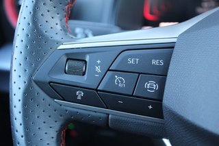 Seat Arona 1.0 TSI 85kW (115CV) DSG FR XM