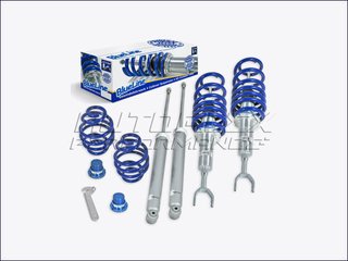 Suspensión Coilover BlueLine VW Passat