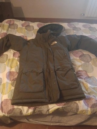 Parka The North Face McMurdo Verde