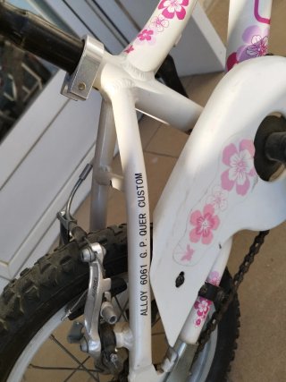 Bicicleta infantil aluminio QÜER 14"