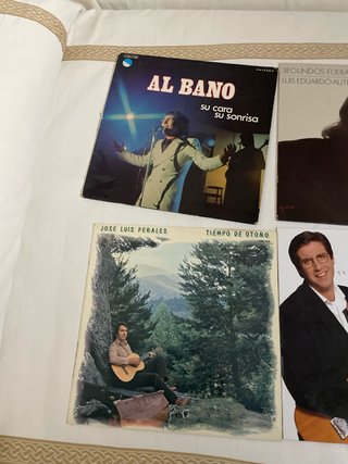 Lote 10 Vinilos Pop Rock Latino Flamenco