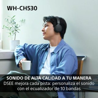 Auriculares Sony WH-CH530 Inalámbricos Negros