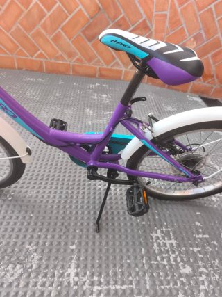 Bicicleta infantil B-Pro 20